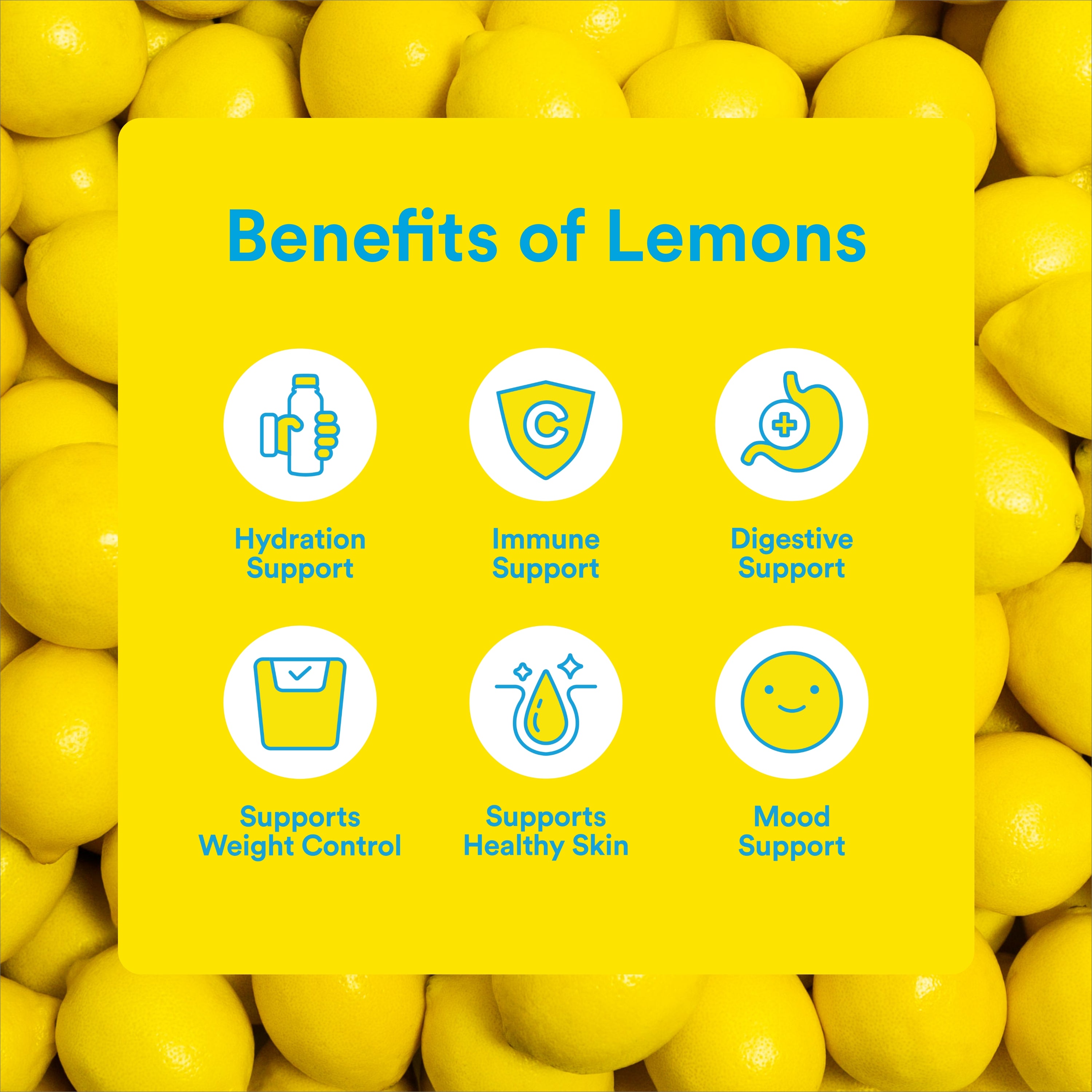 Lemon Perfect 4-Flavor Variety Pack Zero Sugar Organic Lemon Water
